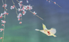 1 (49).JPG