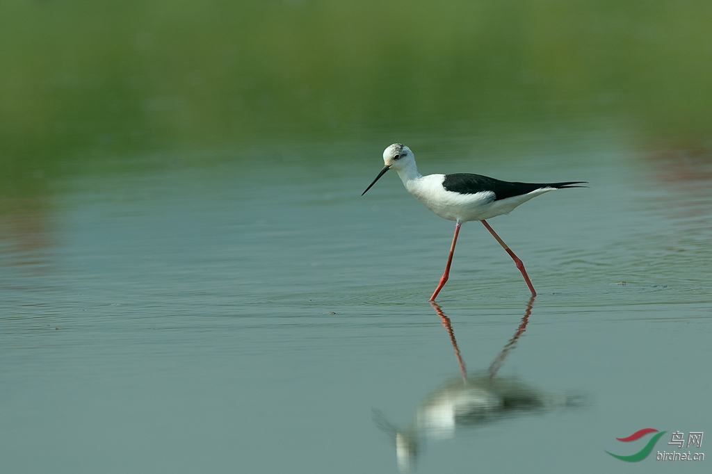 DSC_5486_DxOa.jpg