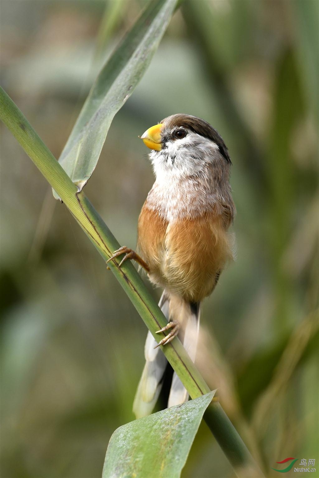 «έ�еľ���