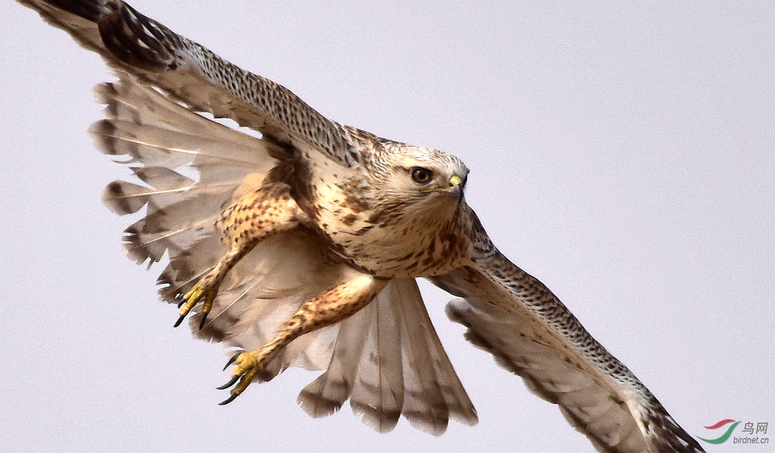 DSC_7274_����_���� (2).jpg