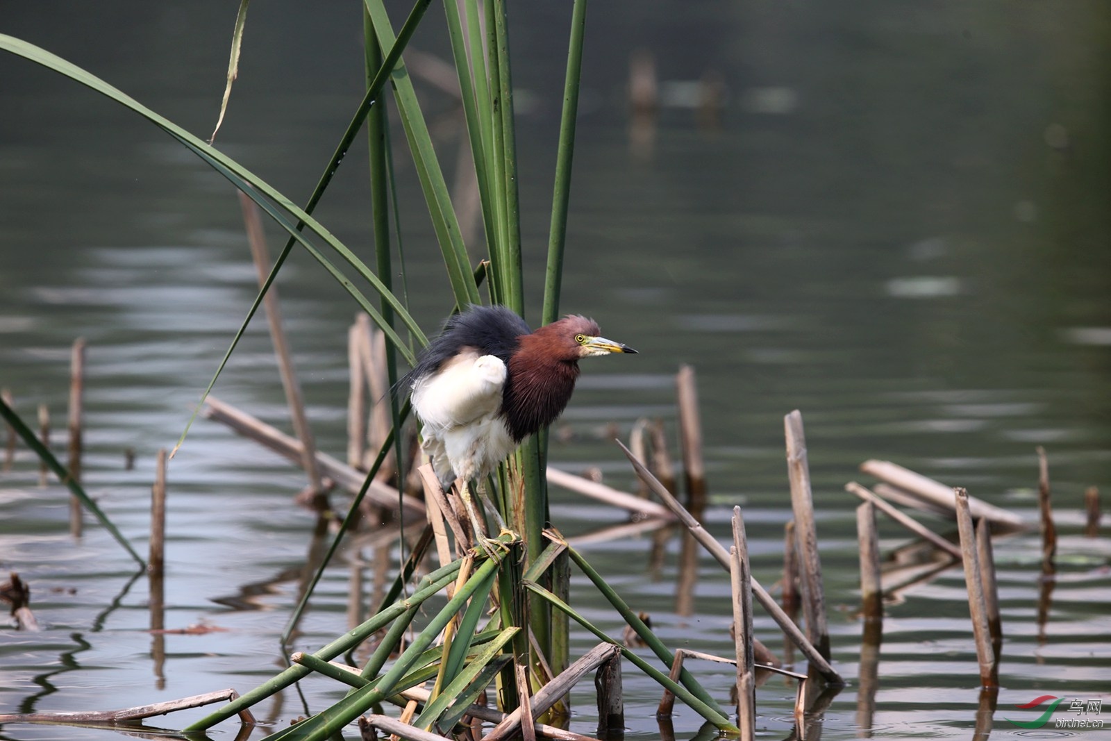 DJ4W2180.JPG