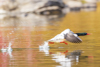4 (315).JPG
