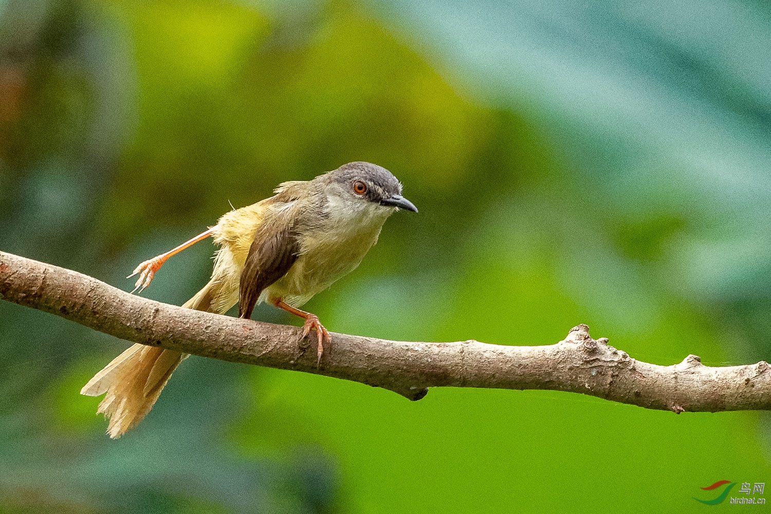 IMG_0295_DxO.jpg