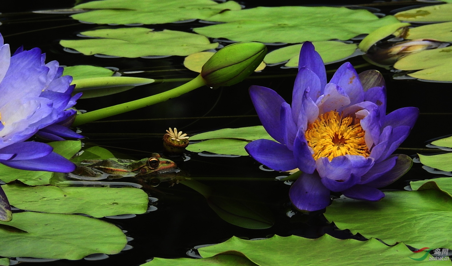 DSCN5157.JPG