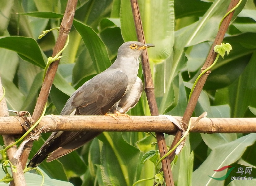 DSCF4663.jpg