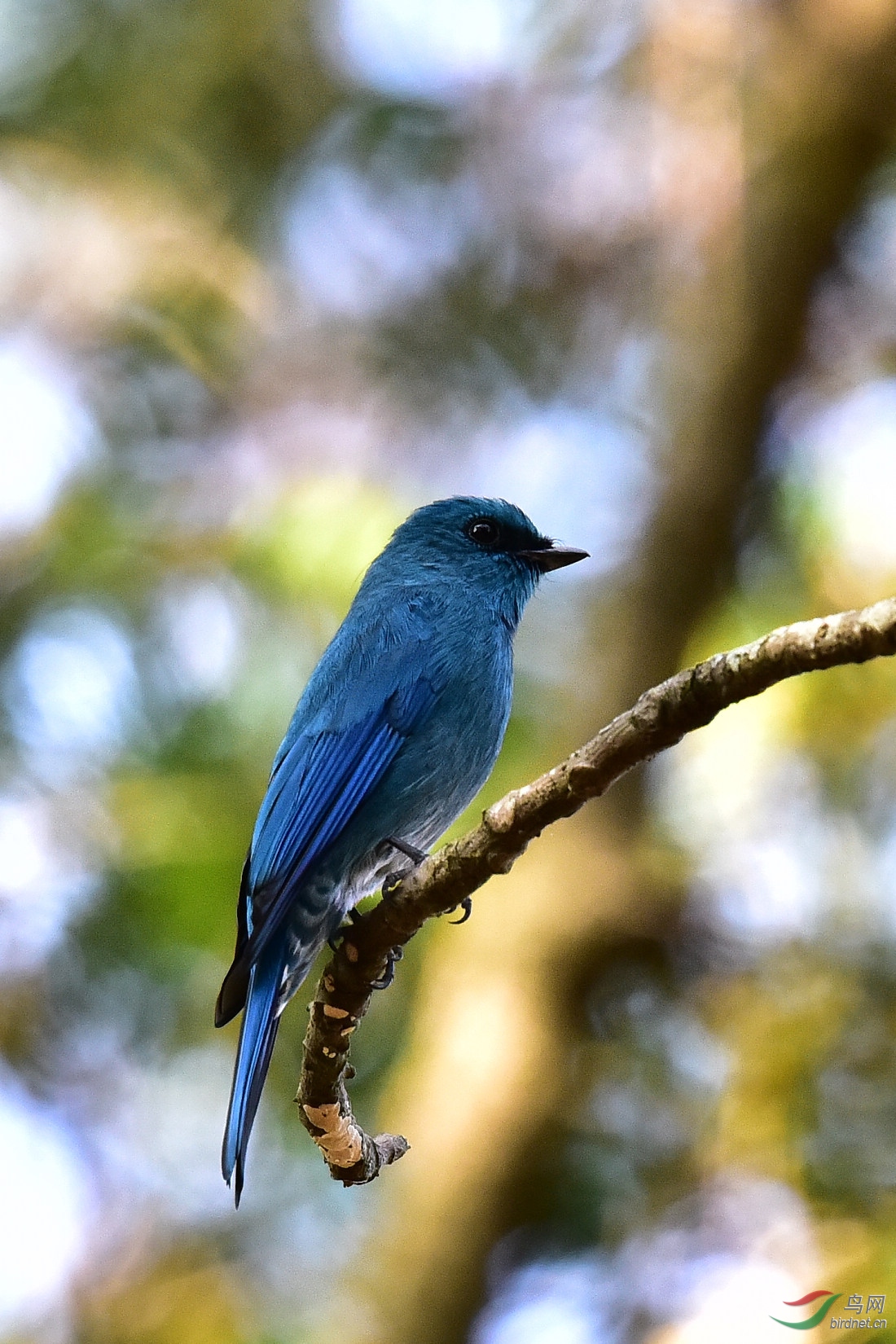 DSC_1053.JPG