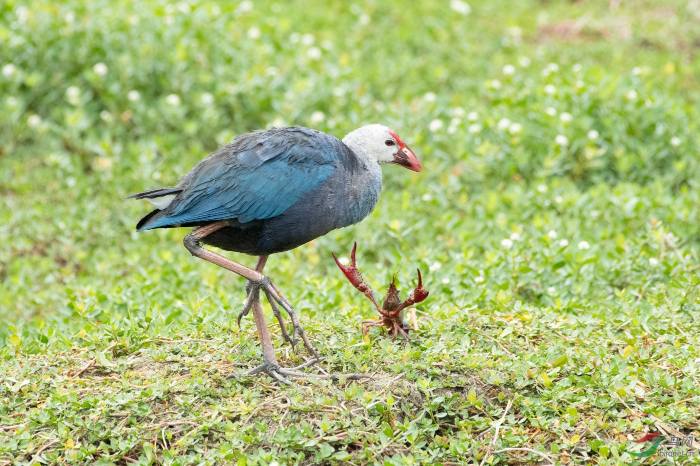 DSC_6036.jpg