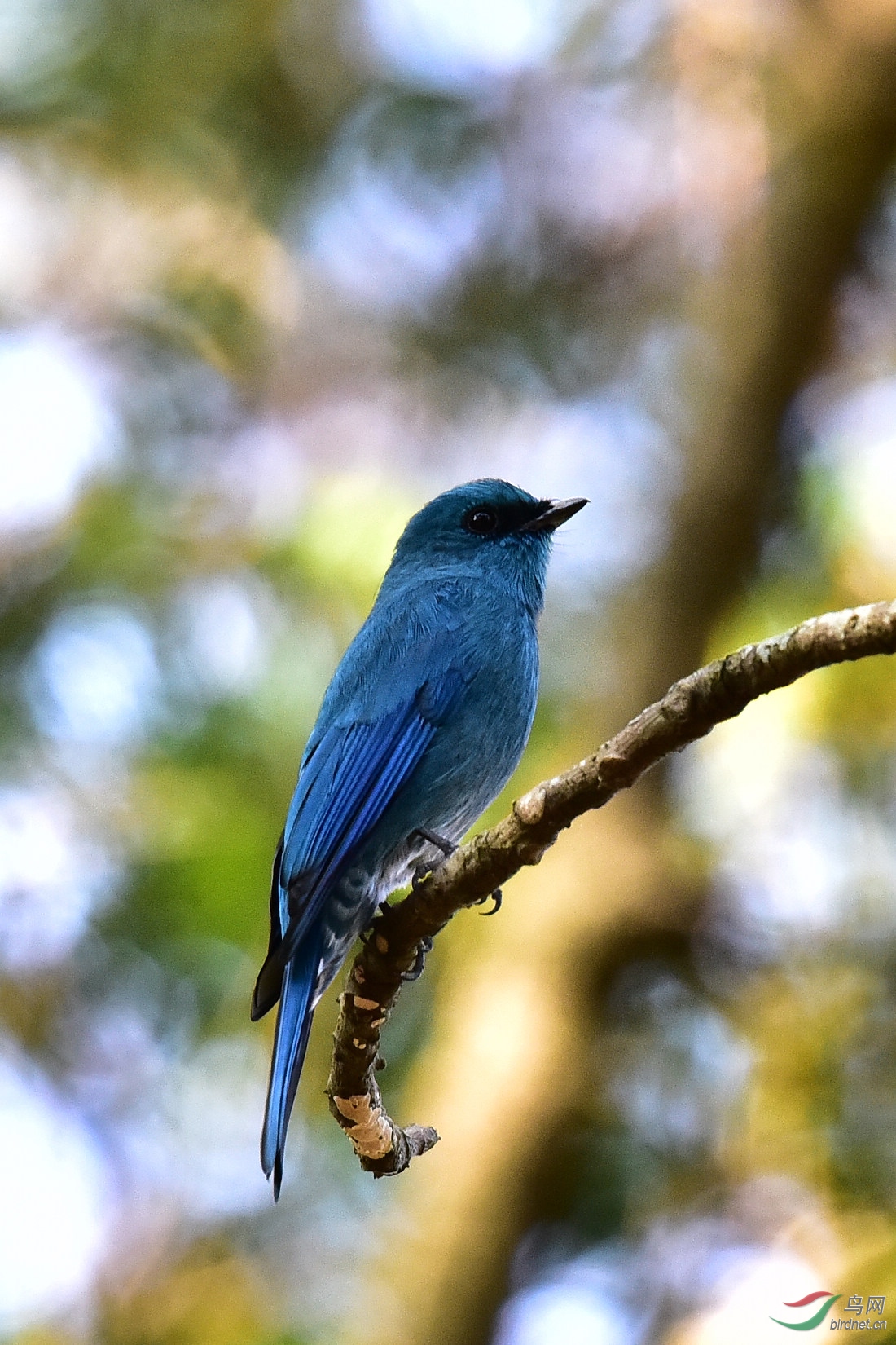 DSC_1055.JPG