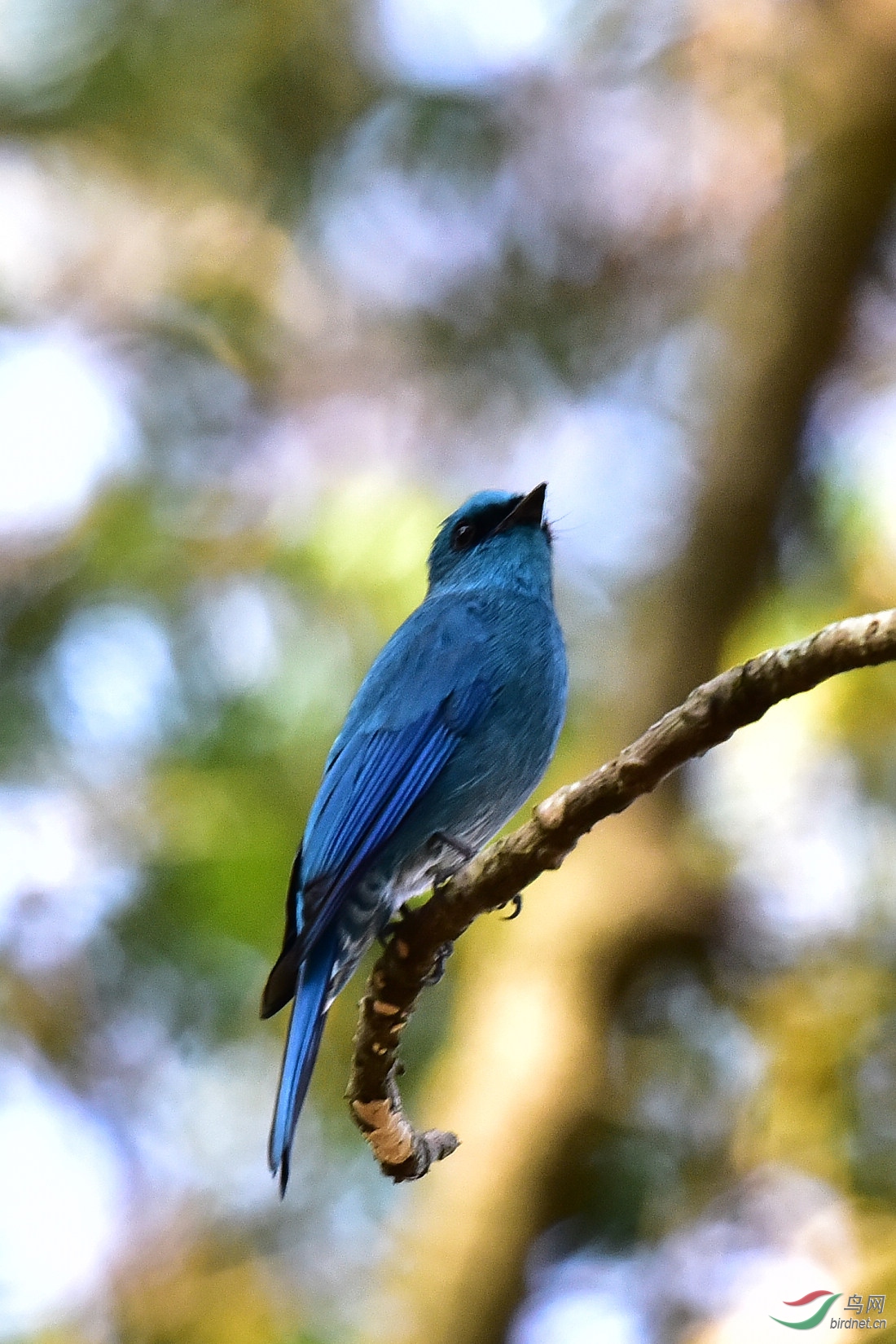 DSC_1056.JPG