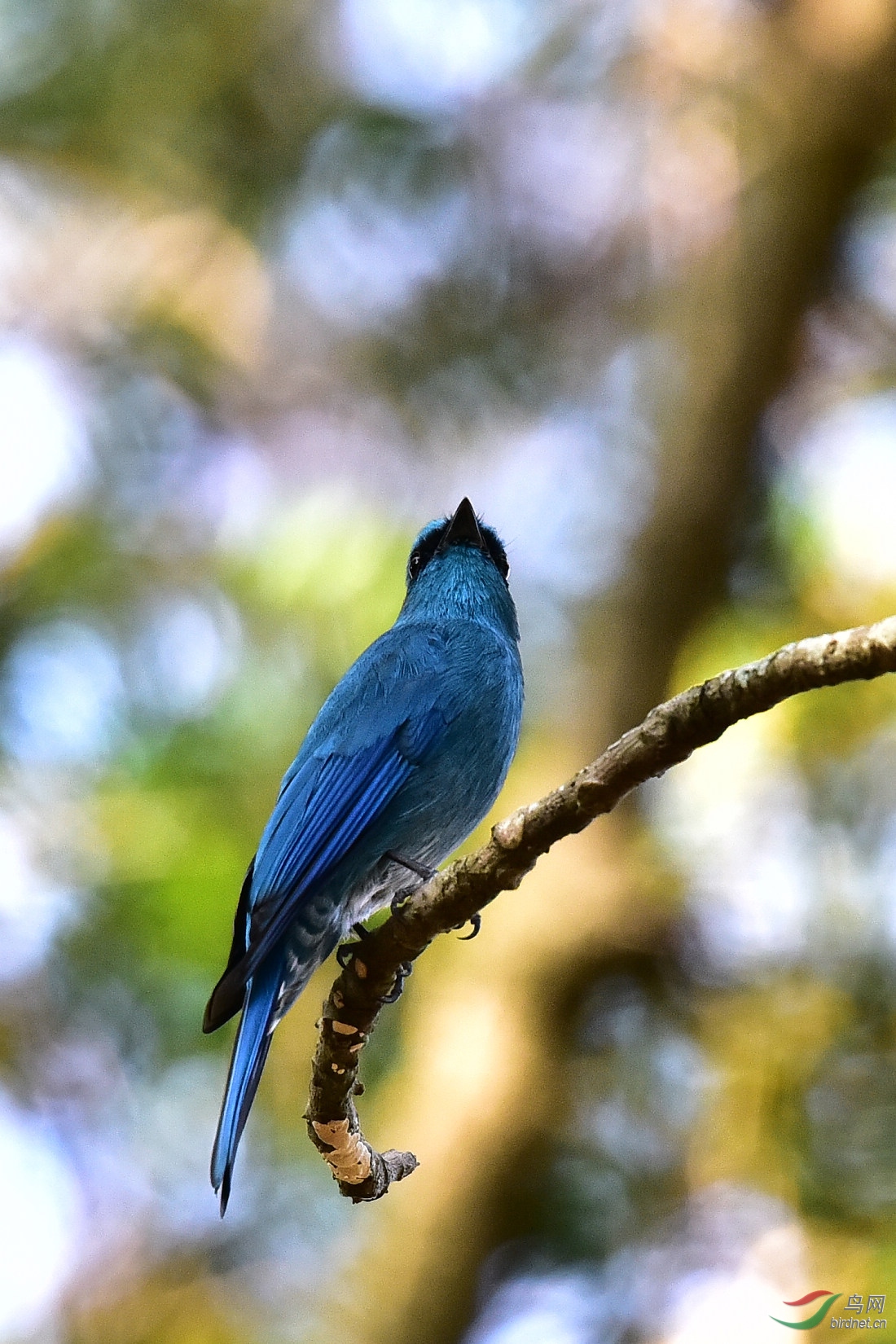 DSC_1059.JPG