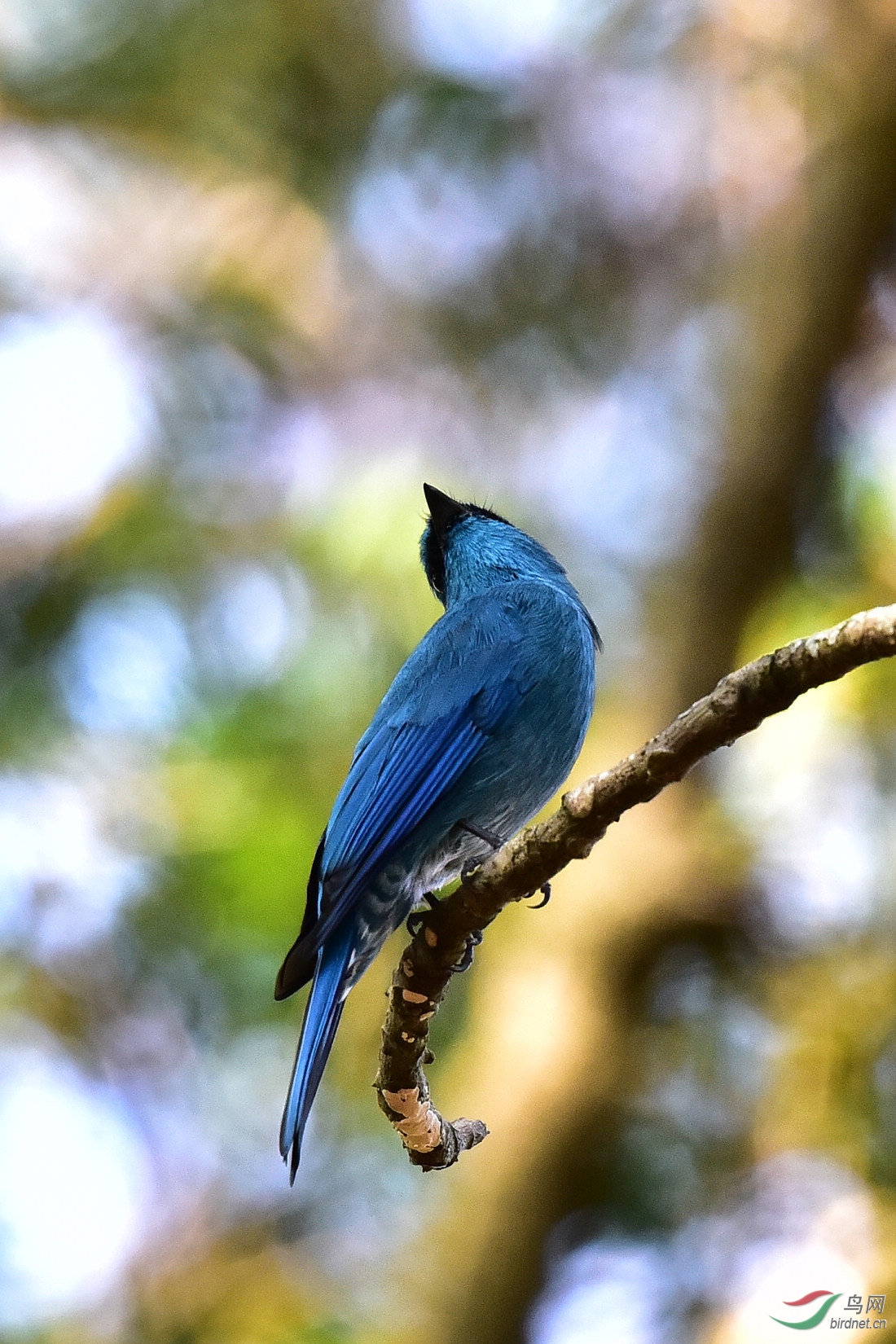 DSC_1060.JPG