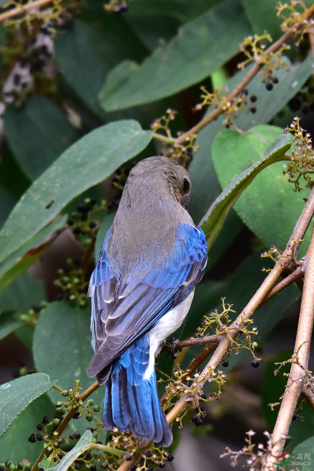 DSC_1062.JPG