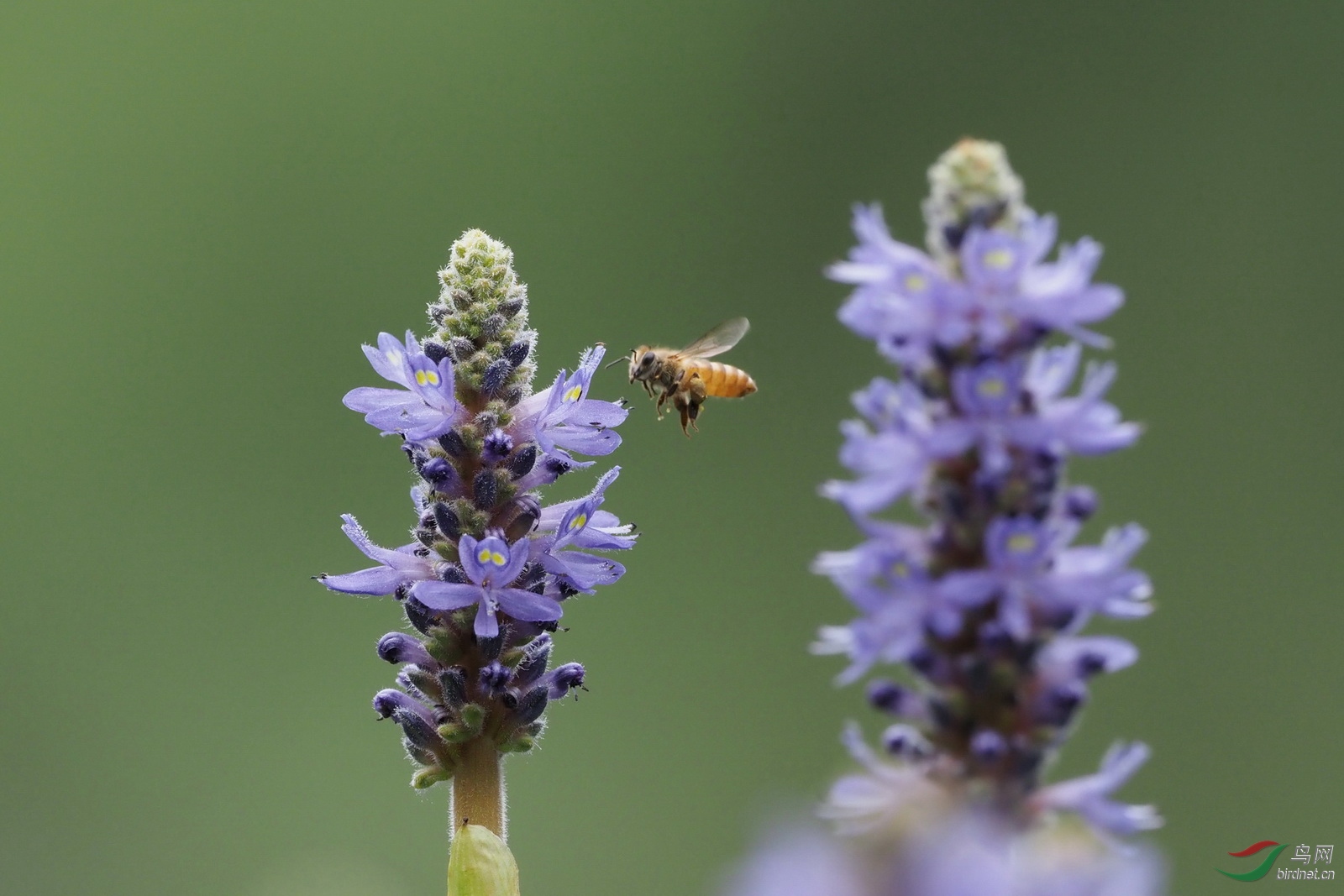 P5270347_������С.JPG