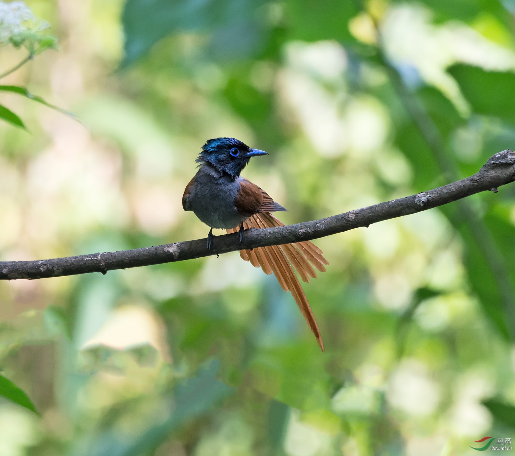 DSC_5983-1.jpg