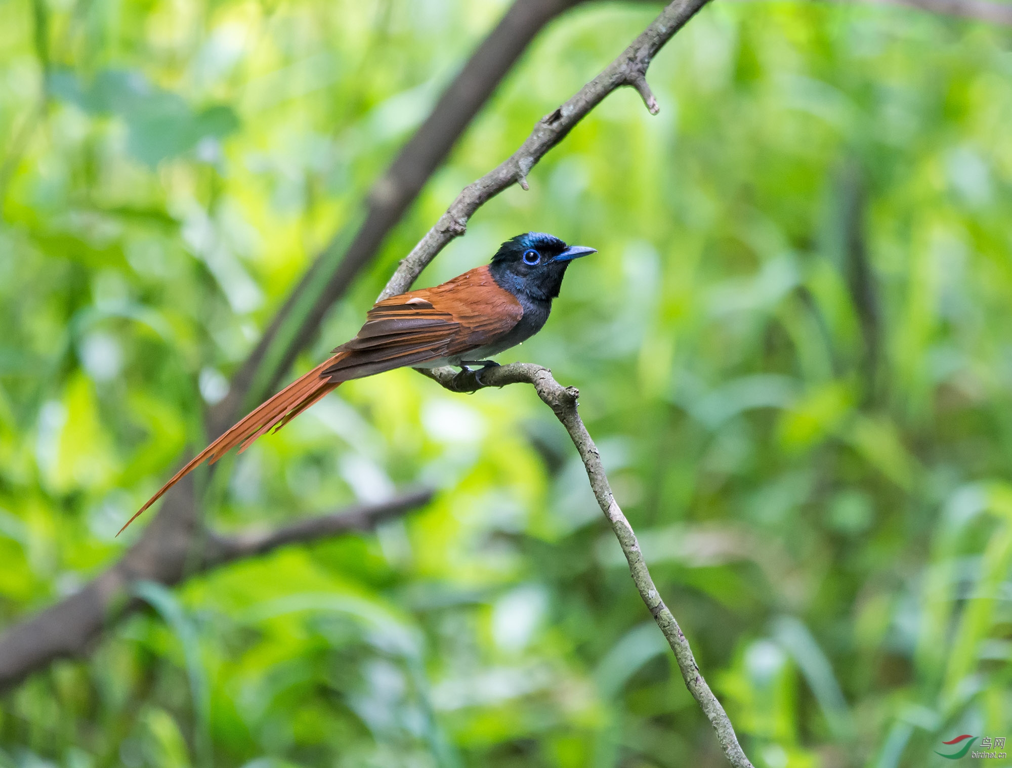 DSC_5974.jpg
