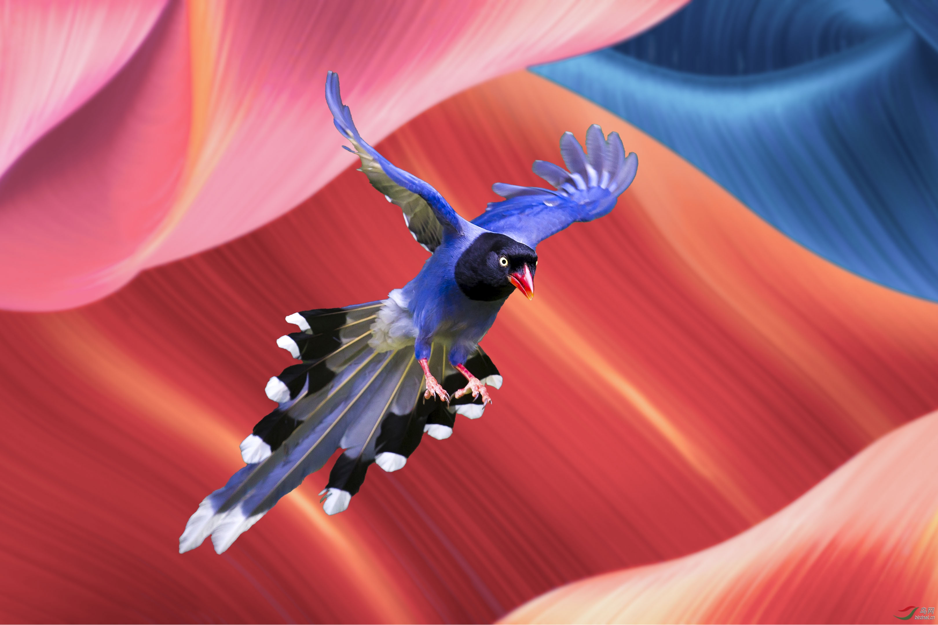 ����֮�� 500k.jpg