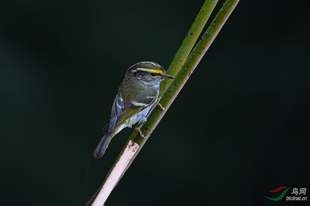 DSCF5743.jpg