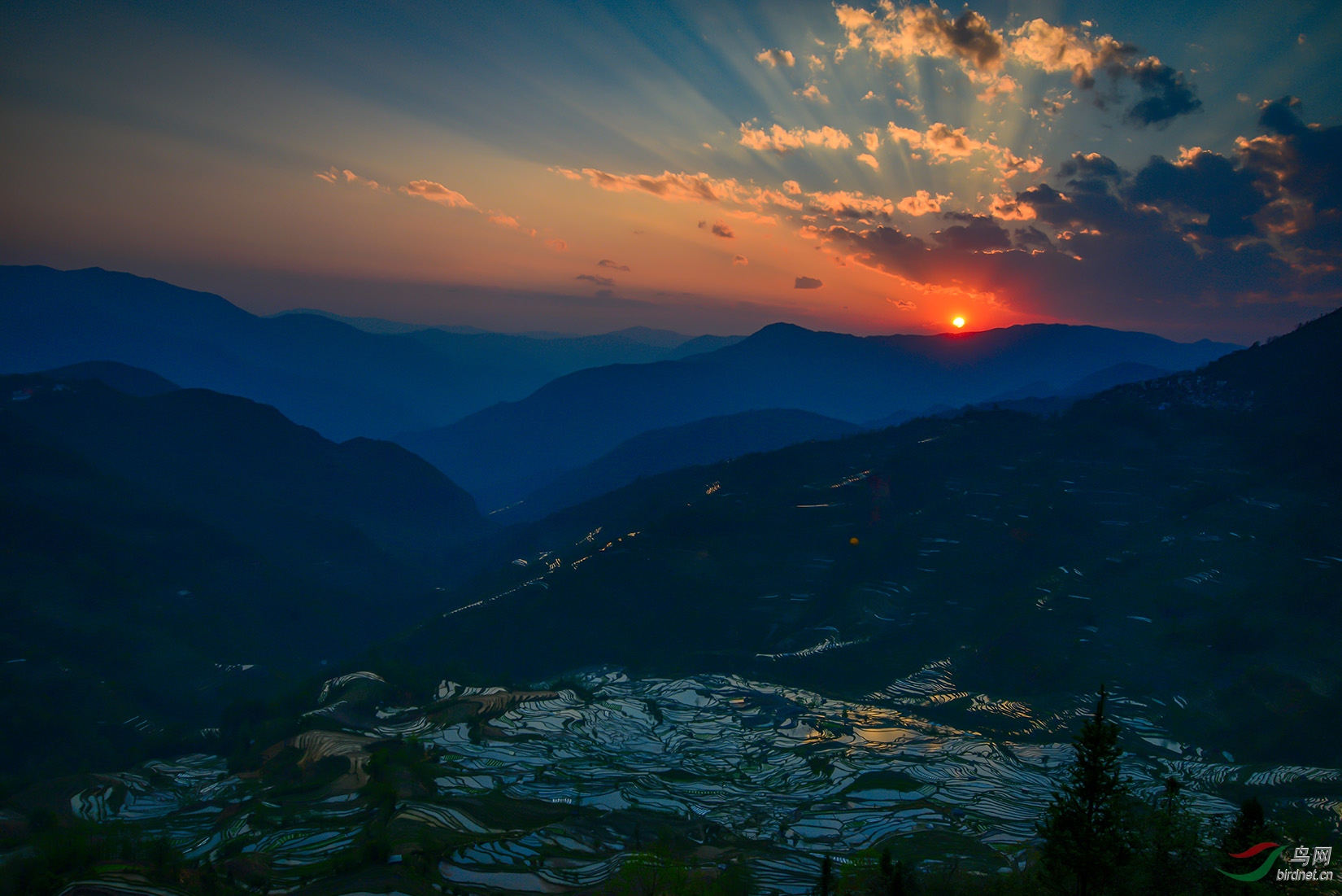 DSC_0129-a.jpg