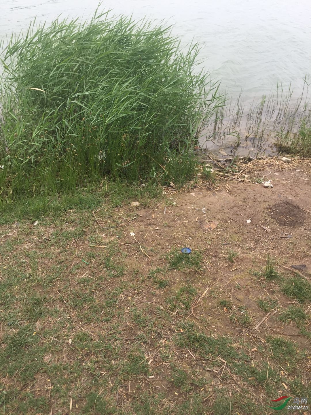 һ�ܹ���������������