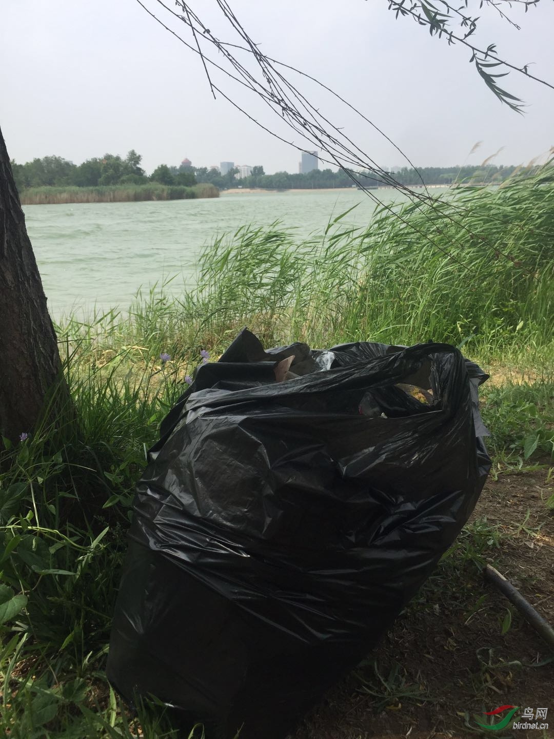 �����������������