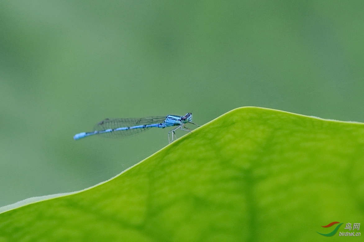 DSC_4438.JPG