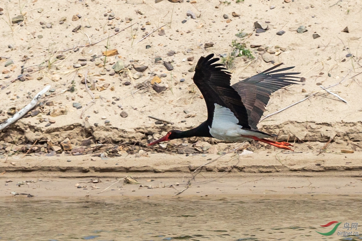 _20D5488.JPG