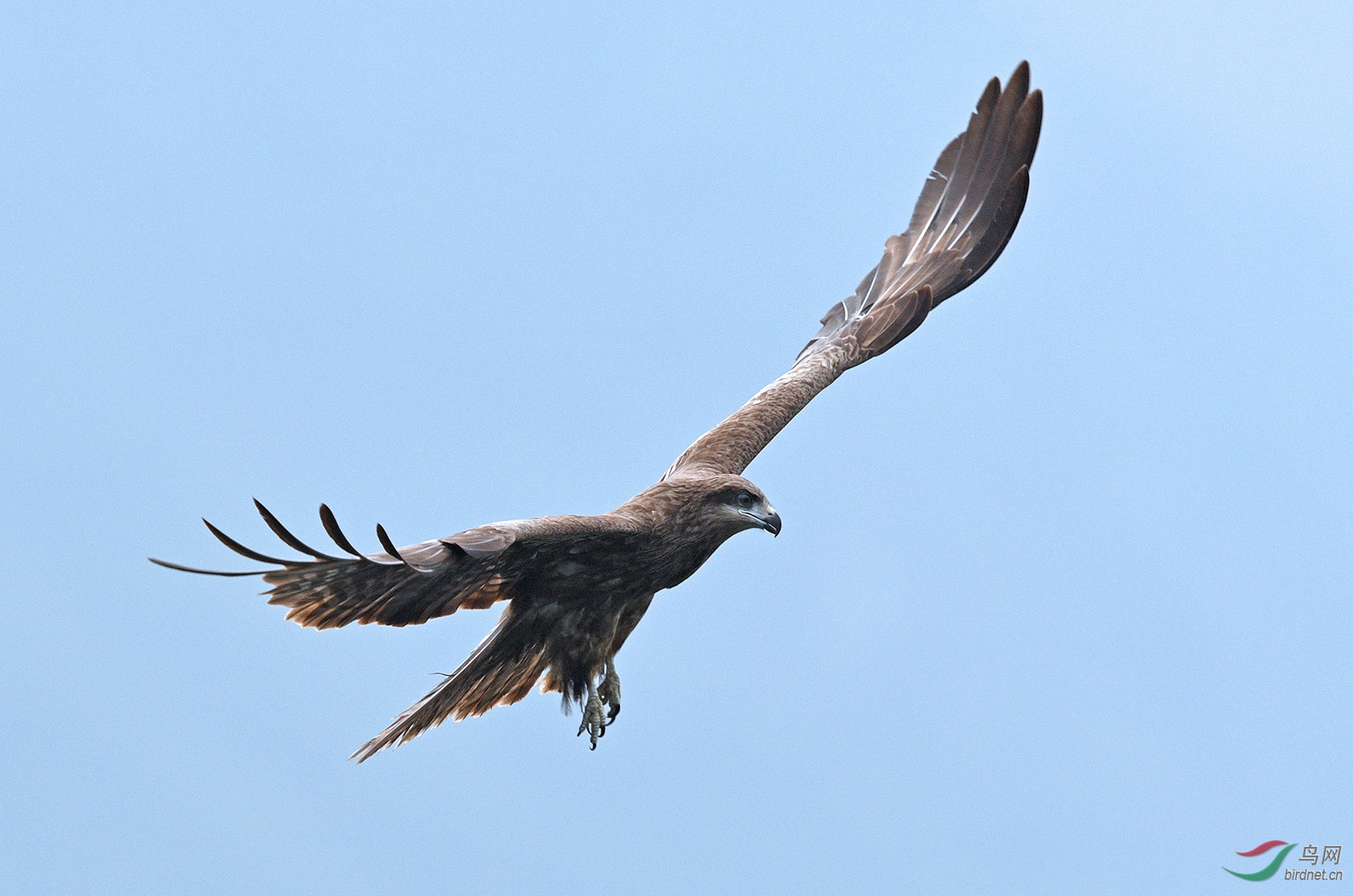 D50_1704.JPG