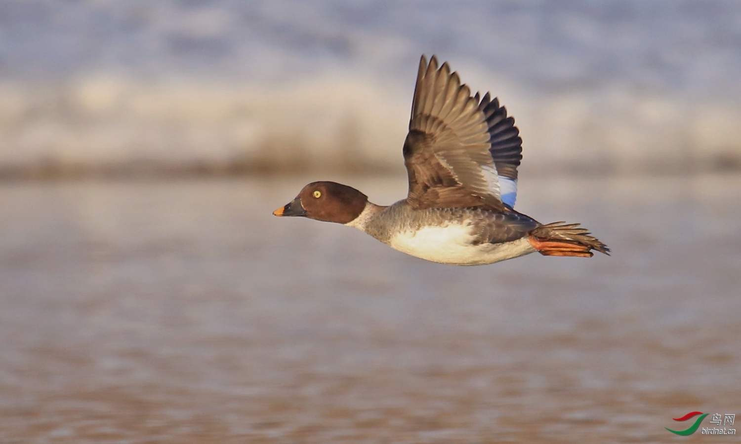 �Ʒɣ�����57��ʦ �����ڼ���ʡ�����У�.jpg