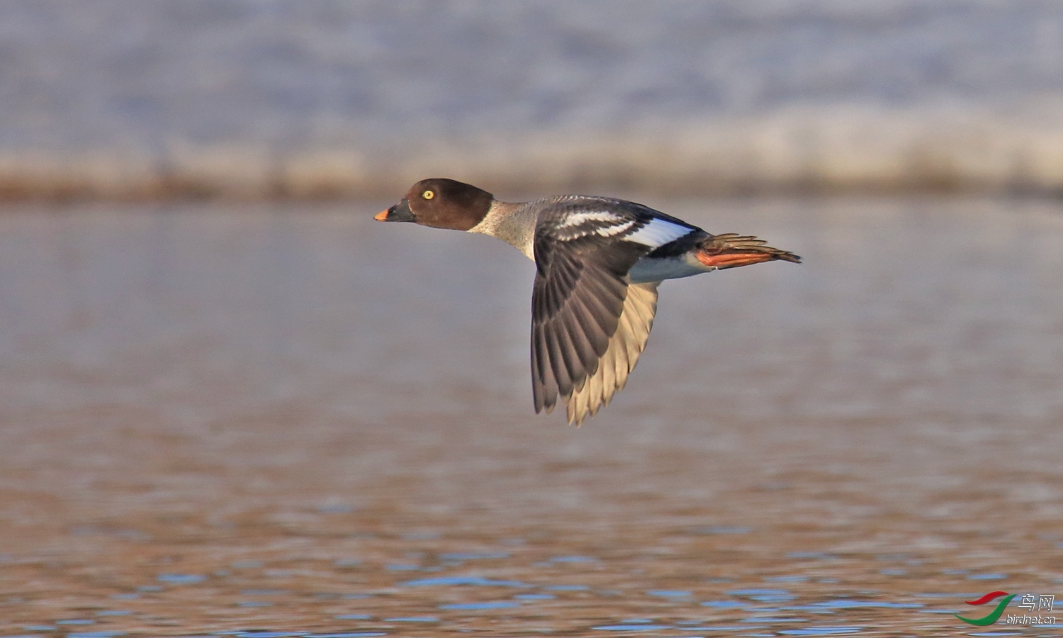 �Ʒɣ�����57��ʦ �����ڼ���ʡ�����У�2.jpg