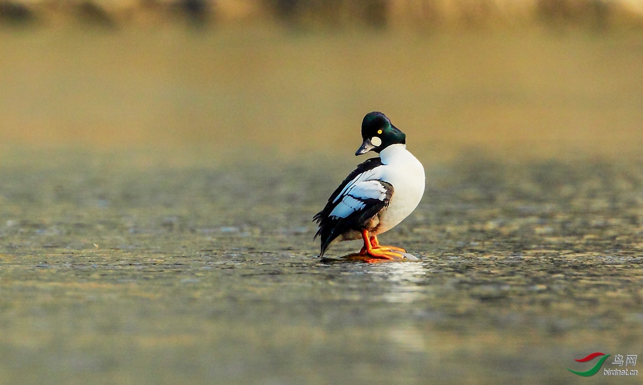 ��վ��0�������0 ��ʦ���㣩.jpg