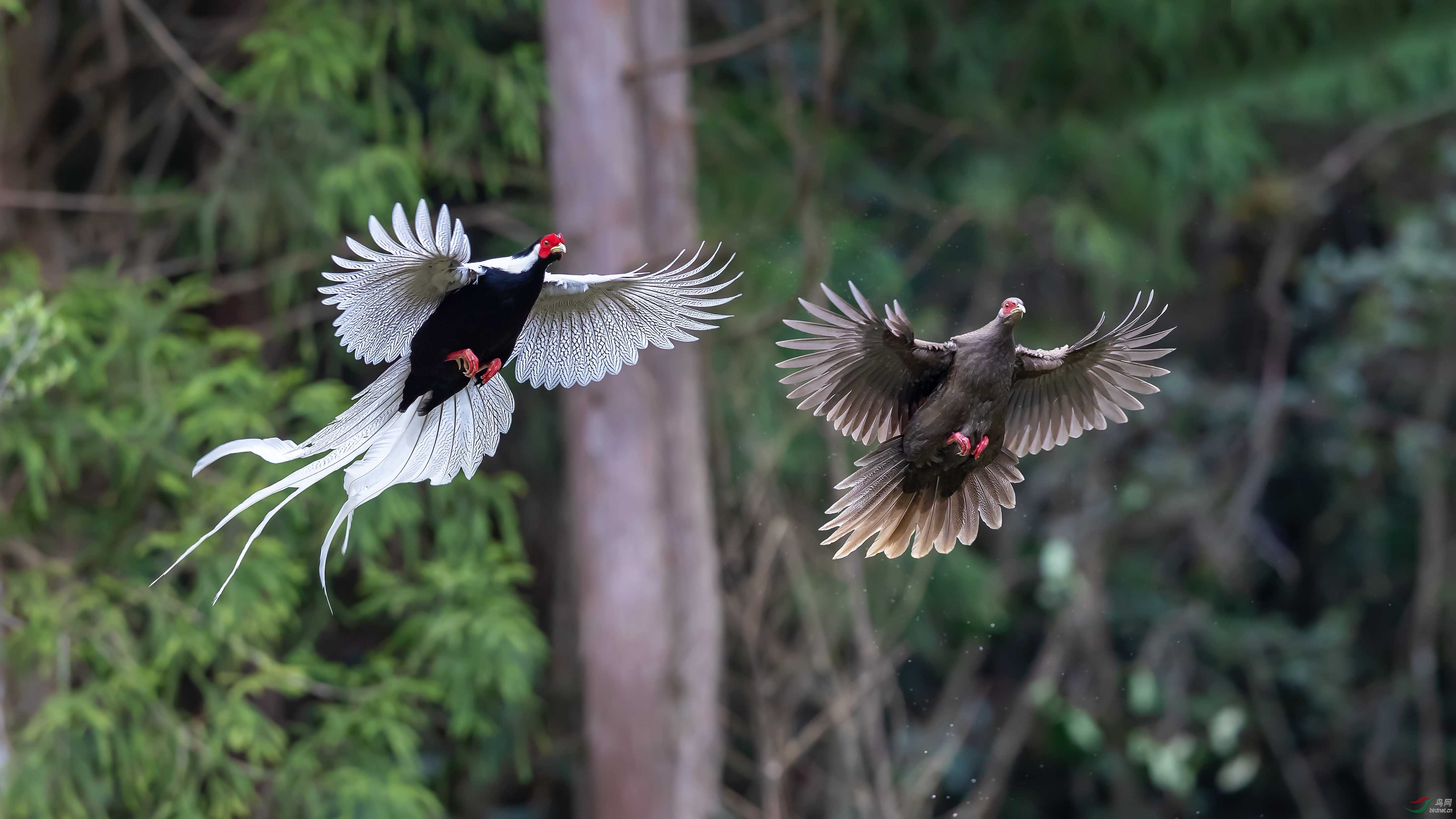 ����Ը��������