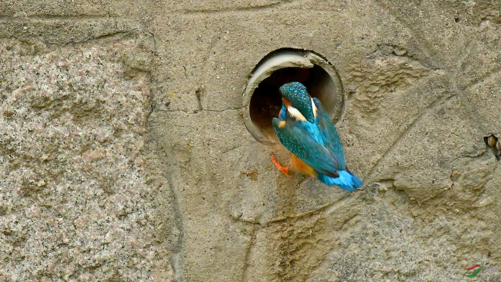 �������ṩ