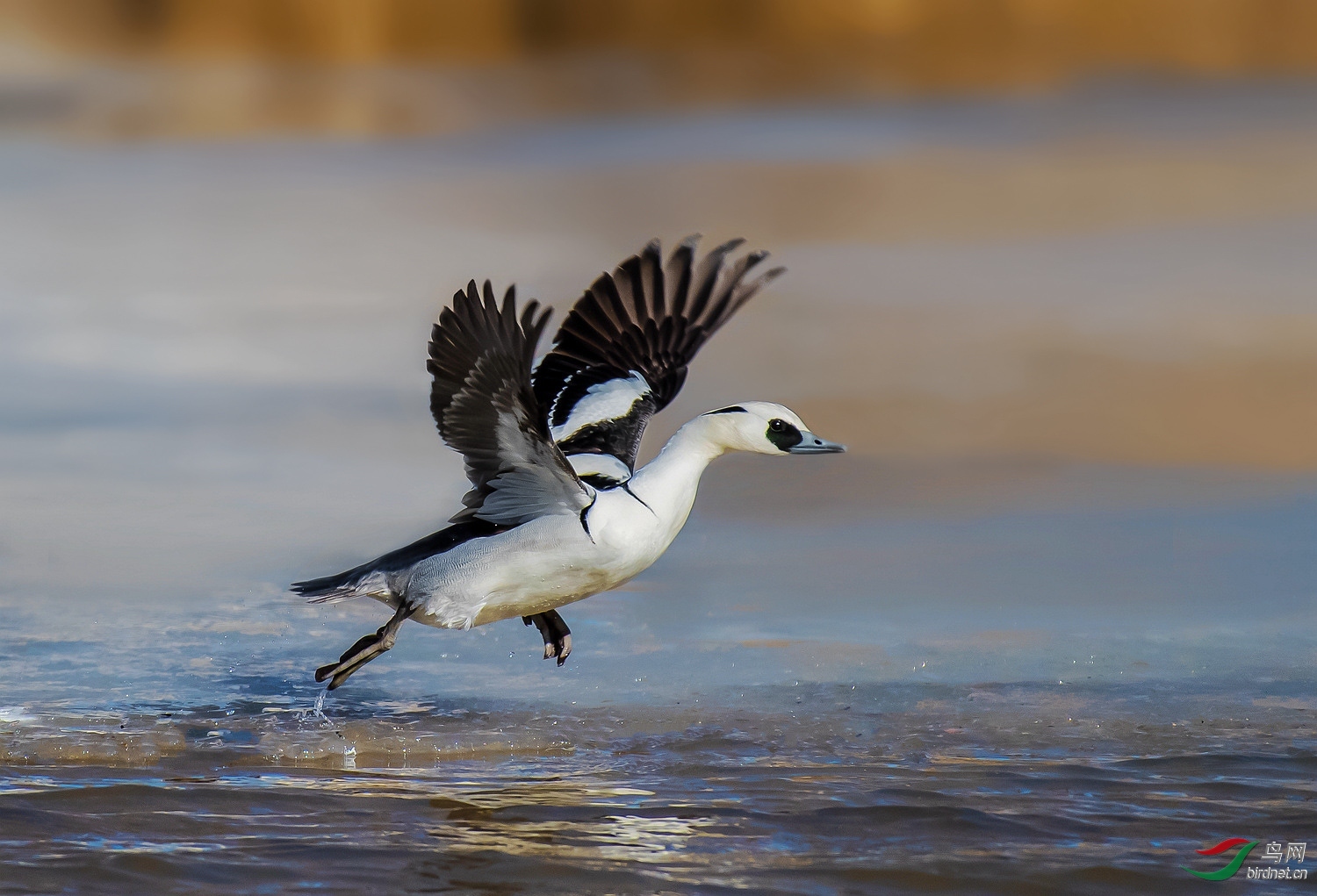 ��ˮ�Ϸɣ��������� ��ʦ����.jpg