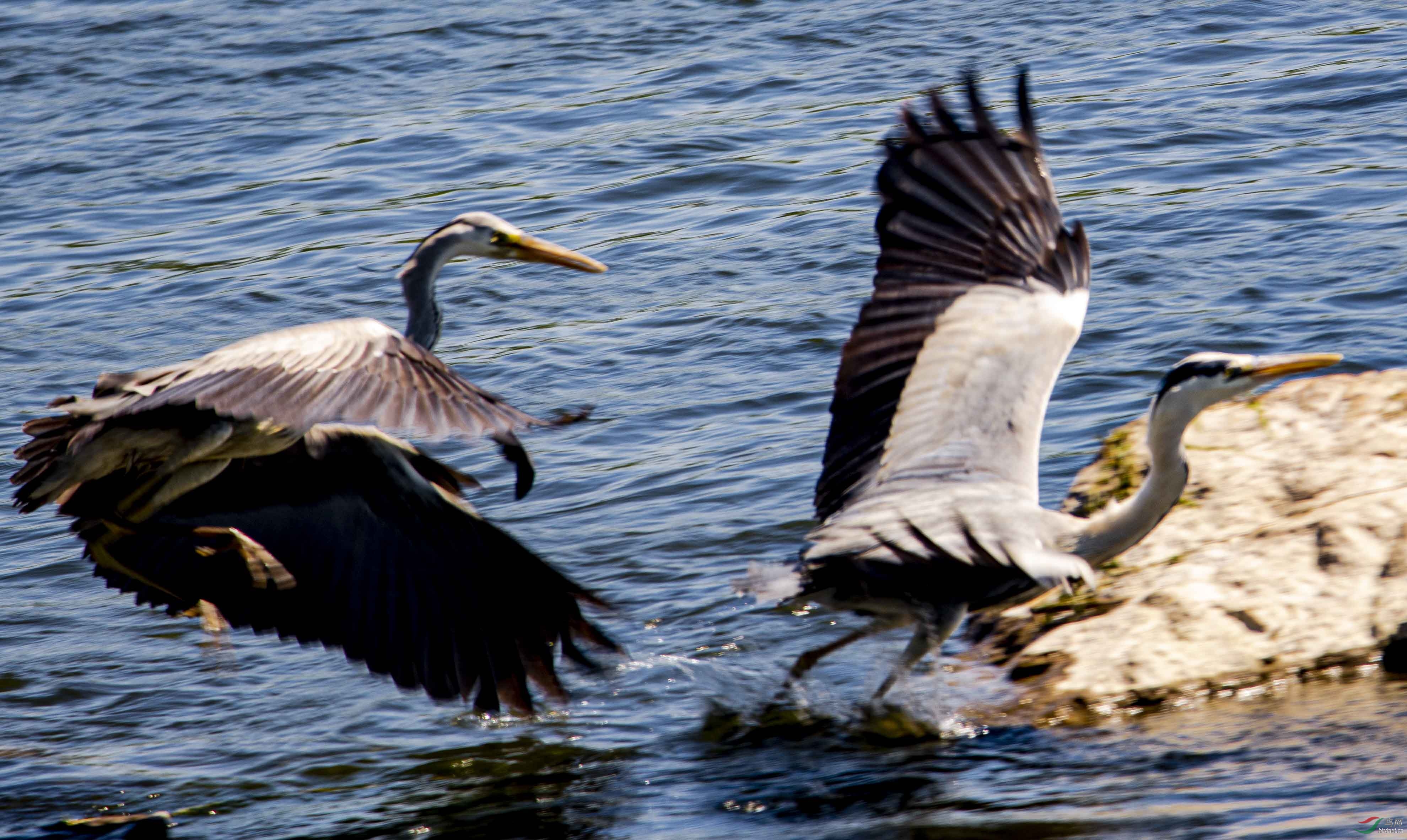 ��׷����1