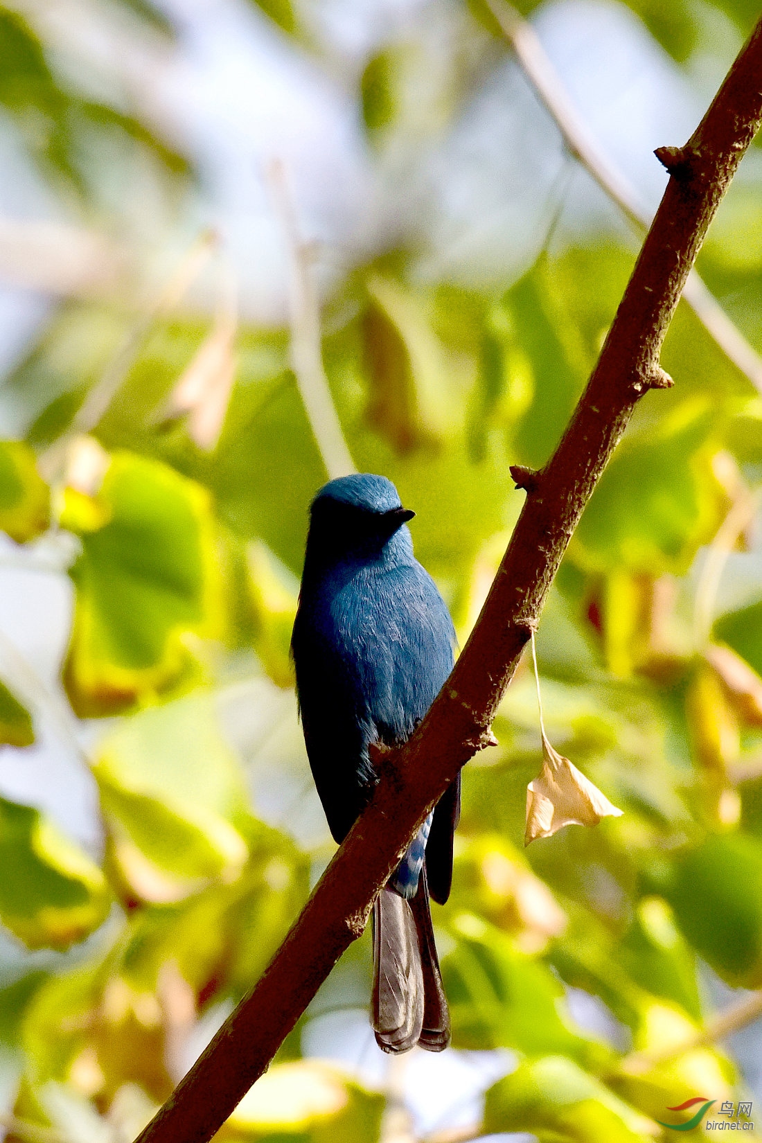 DSC_1084.JPG