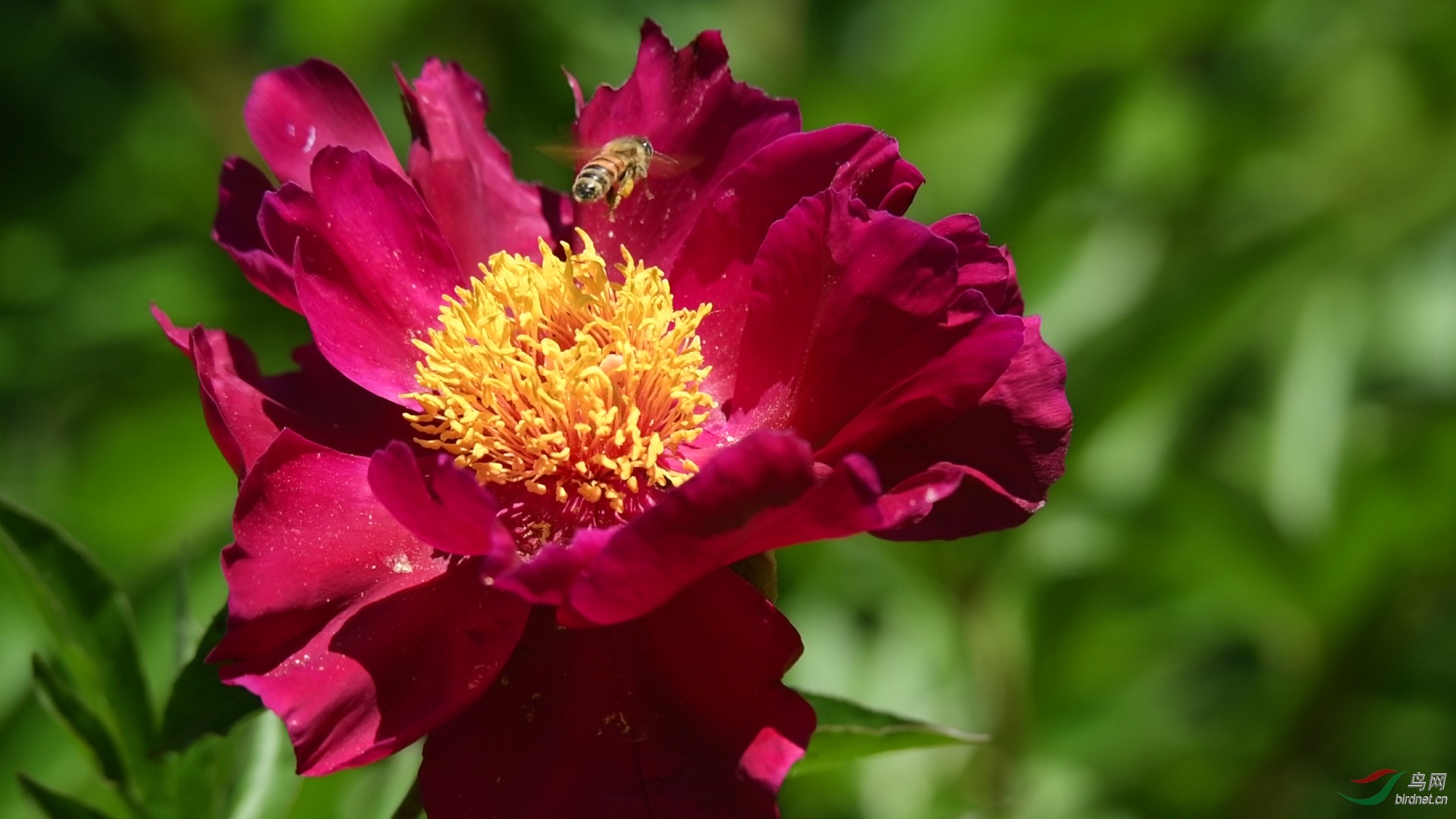 DSC_8261 00_00_00-00_00_04_Moment-3-1.jpg