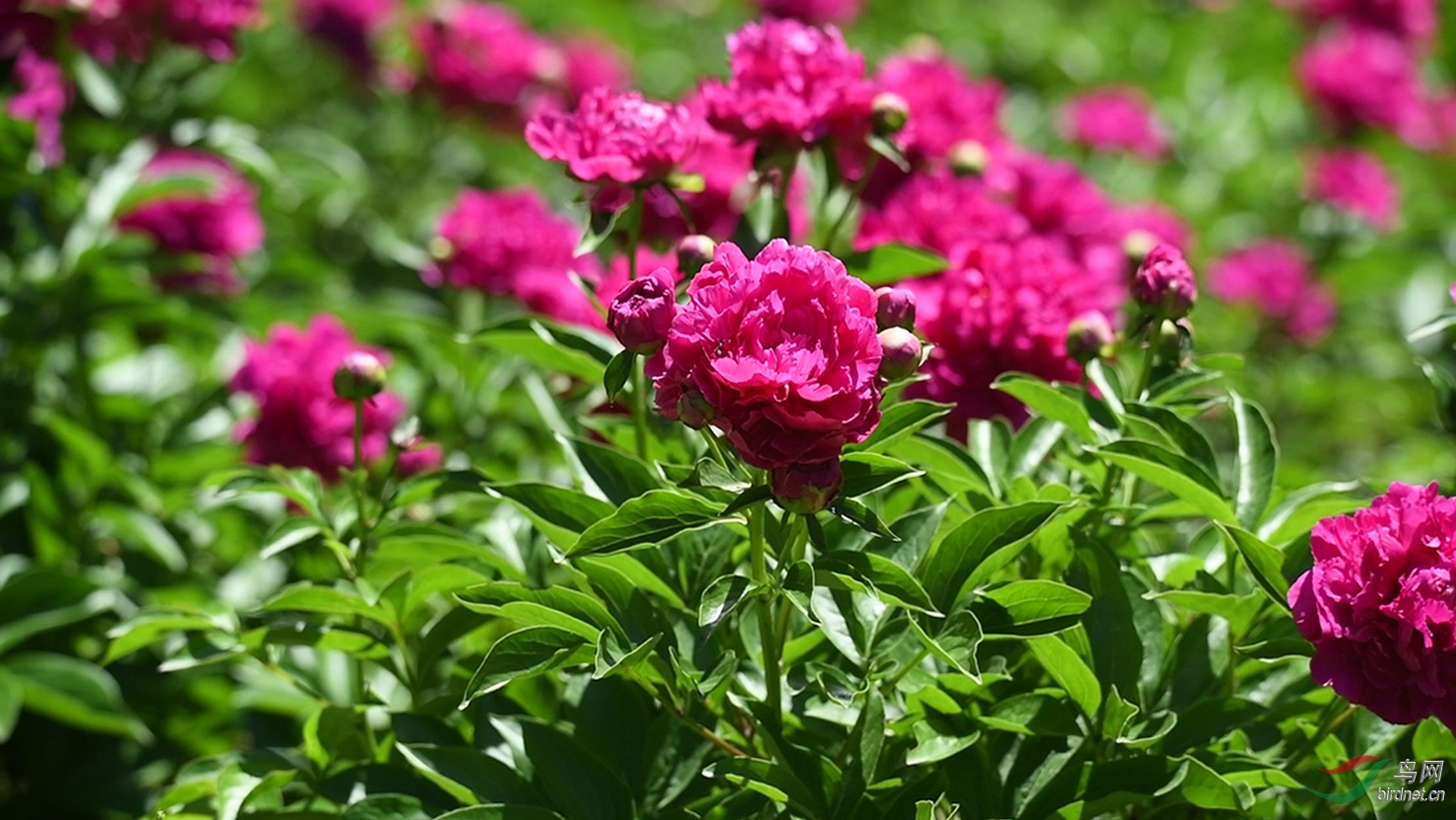 DSC_8225 00_00_12-00_00_17_Moment-1-1.jpg