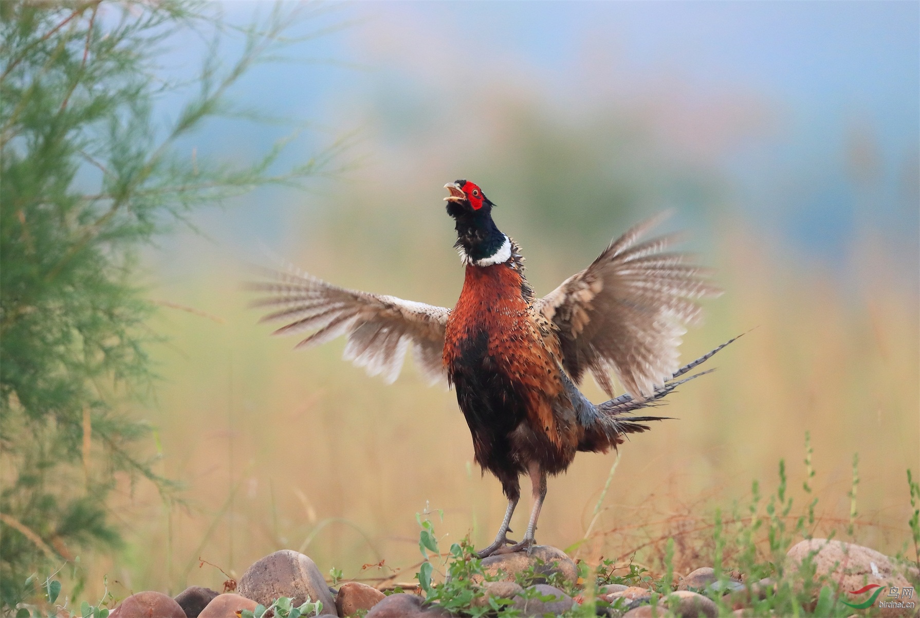 2 - ����.JPG