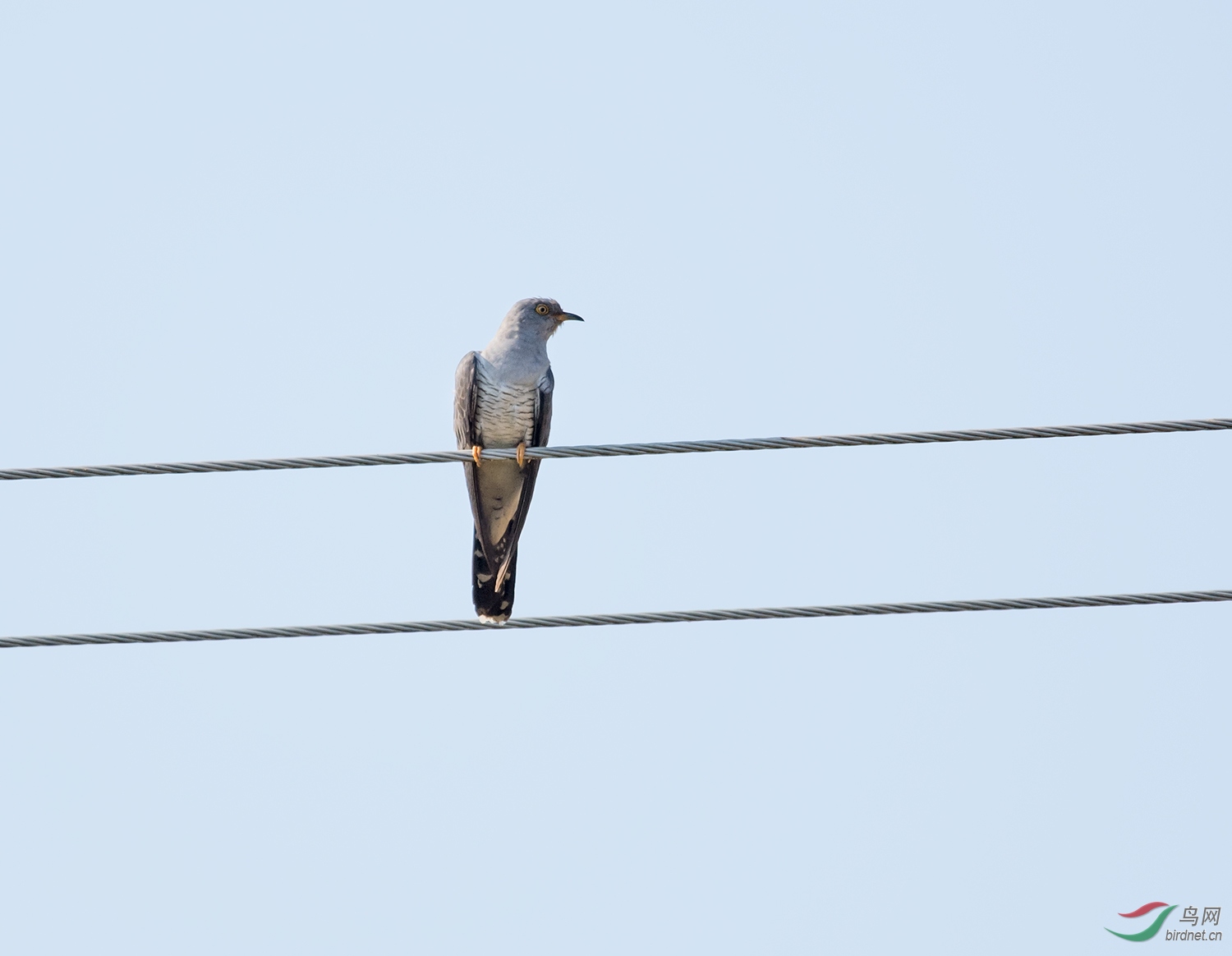 DSC_5760.jpg
