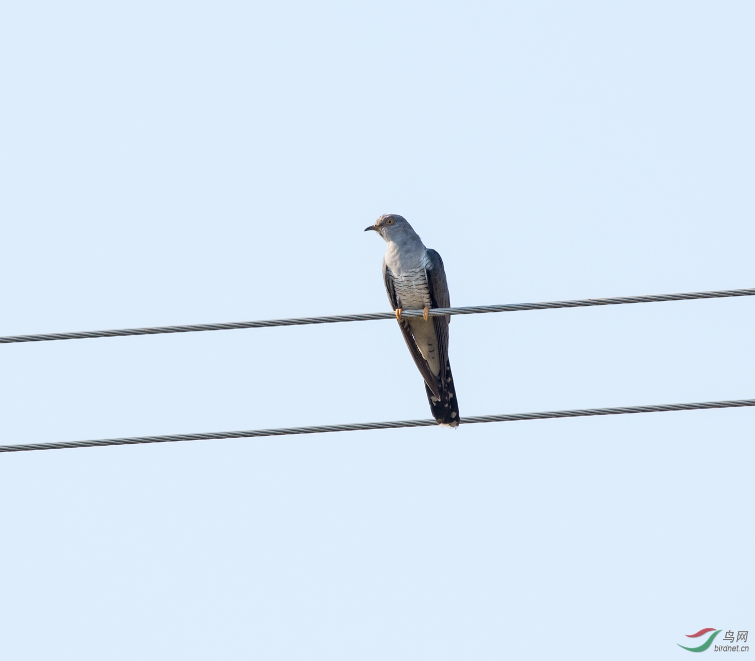DSC_5767.jpg