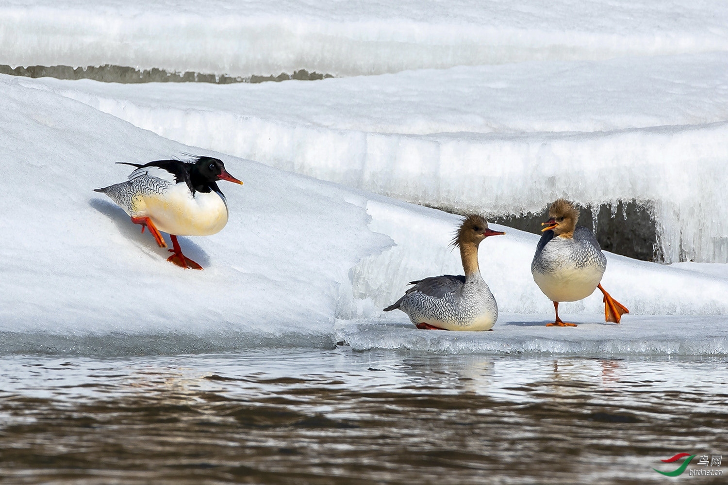 ����վ�ز������˰���  ��ʦ�����ڼ���ʡ��ɽ�У�ͼ��.jpg