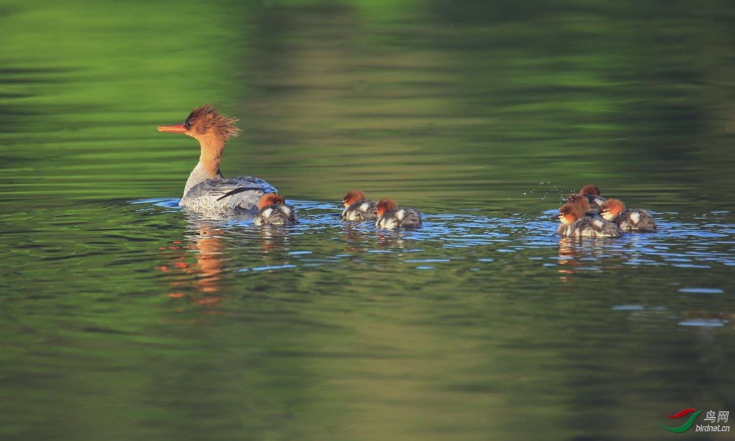 ���ף�����57 ��ʦ�����ڼ���ʡ��ɽ�У���ͼ����.jpg