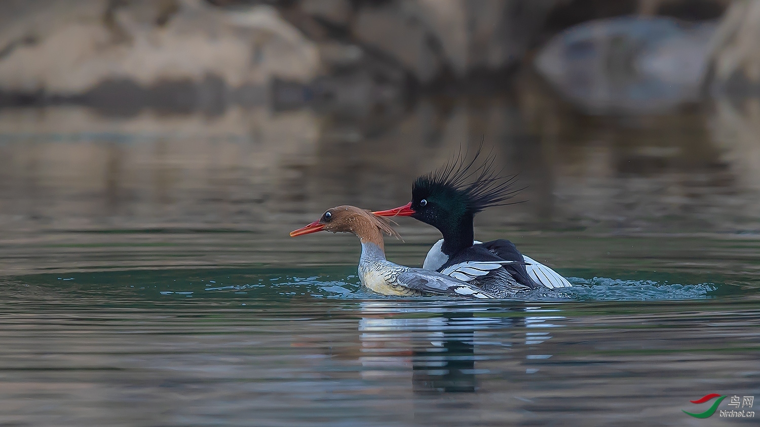 ���䣨9.5�� ��ʦ���㣩.jpg