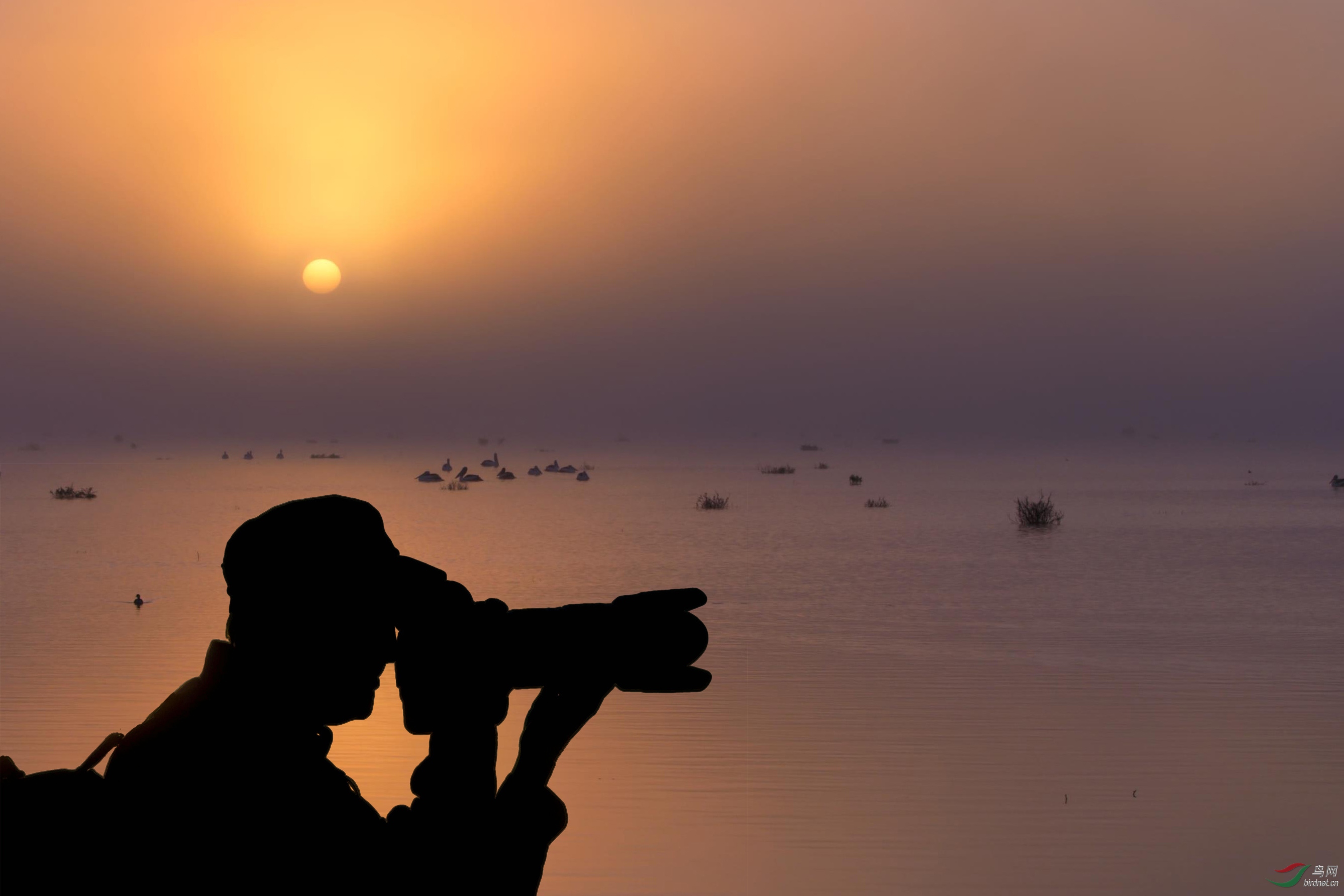 ���� 500K.jpg