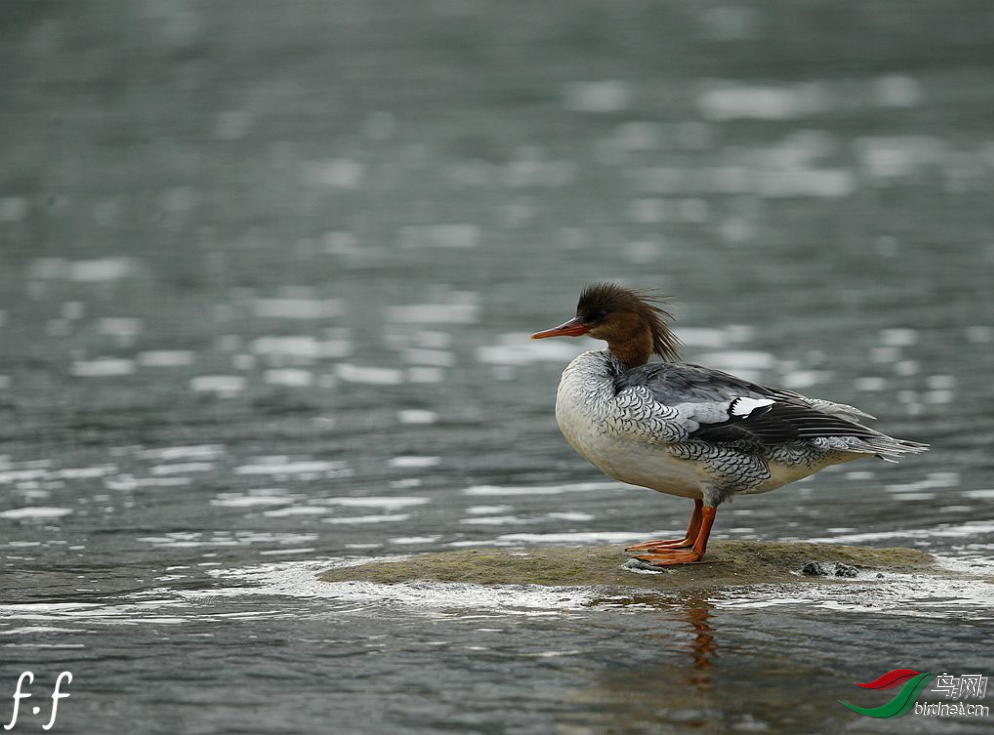 ��վ���ʷ�  ��ʦ�����ڽ���ʡ������.png