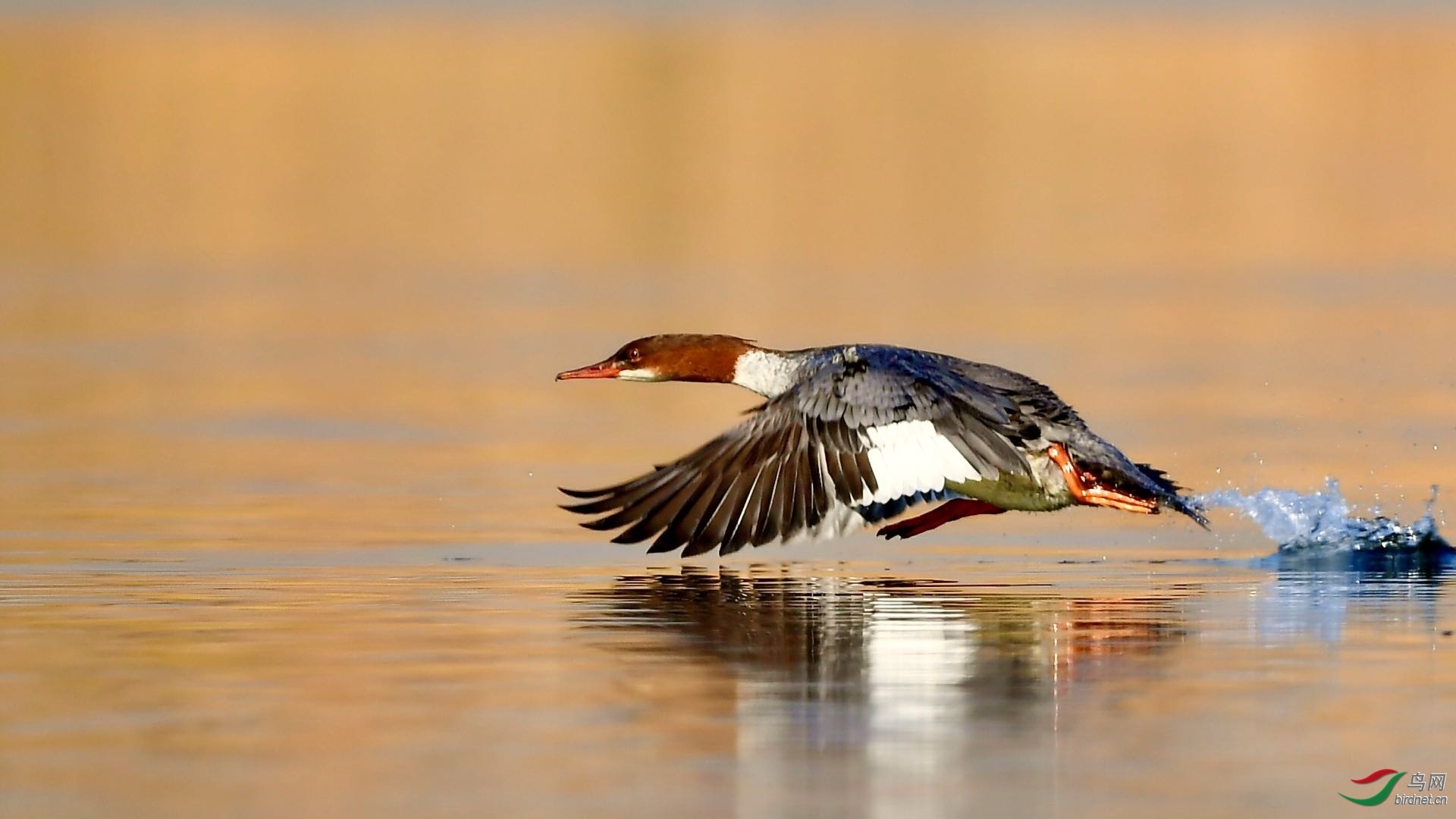 �Ʒɣ������ ��ʦ���㱱���з�̨����ͼ����.jpg