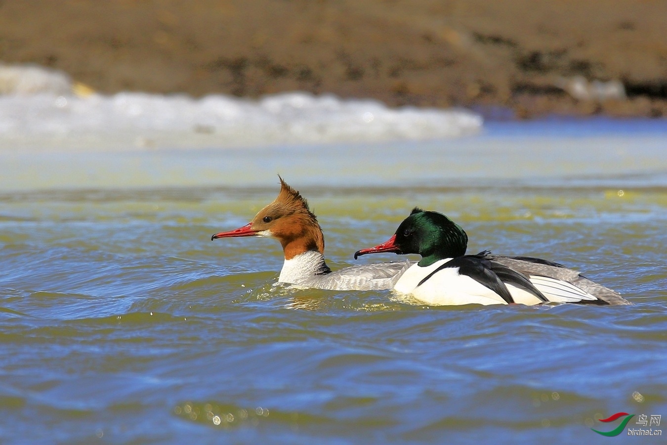 �����Σ�ά��853 ��ʦ����.jpg