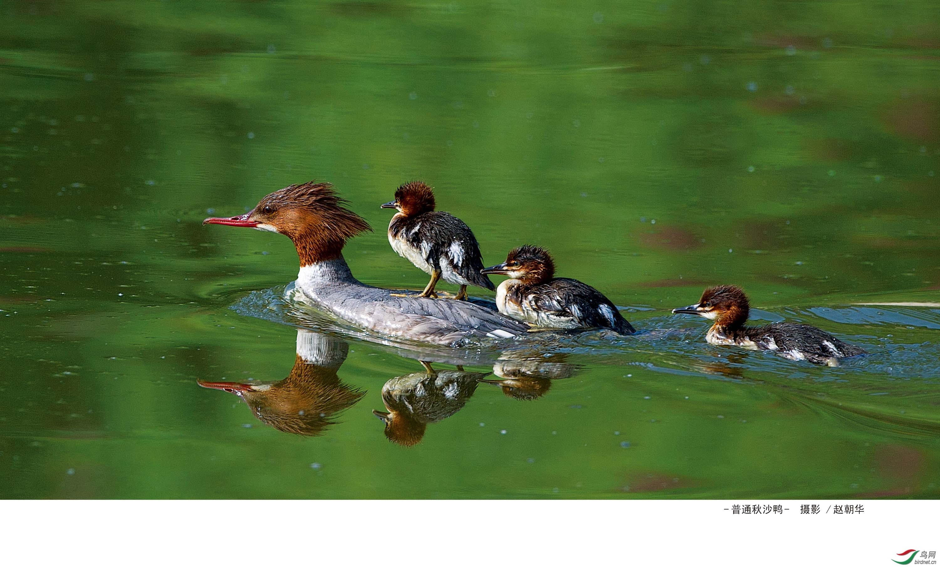 ���ף�������Ȼ ��ʦ������ɽ��ʡ������500.jpg