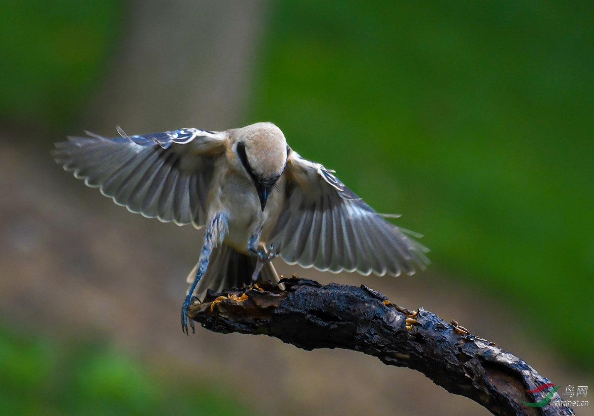 DSC_8549.jpg