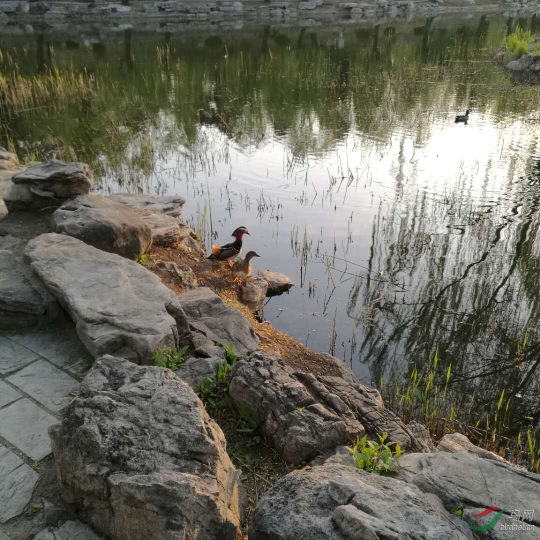 ����԰ ԧ��.jpg